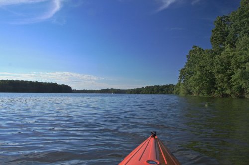 A view from a kayak on a calm lake, surrounded by lush green trees and a clear blue sky.
