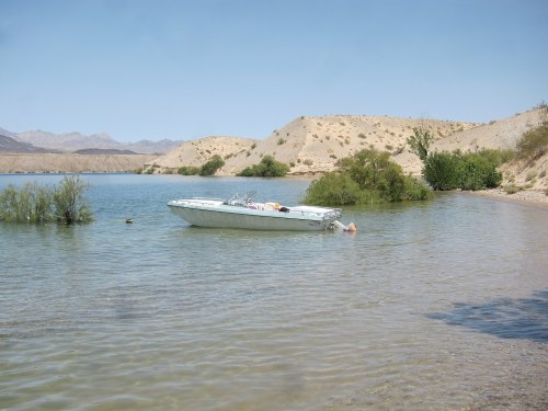 A small boat anchored in calm water near a sandy shore, surrounded by sparse vegetation and hills in the background.