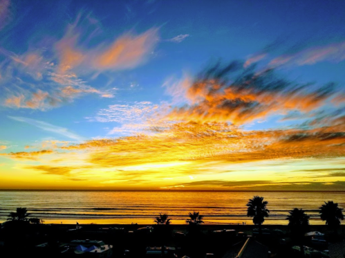 A vibrant sunset over the ocean, with colorful clouds and silhouettes of palm trees along the shoreline.