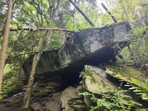 A large, flat rock balanced on smaller stones, surrounded by trees and greenery in a forested area.