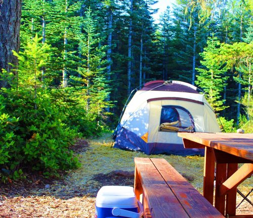 A campsite with a tent surrounded by trees, a wooden table, and a cooler in a sunny forest setting.