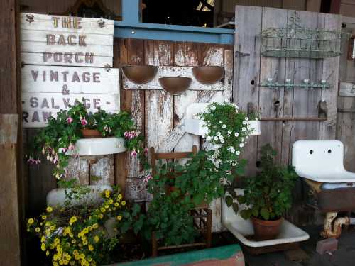 A rustic display featuring a sign, vintage bowls, and potted plants against a weathered wooden backdrop.