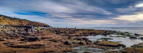 People exploring rocky tide pools along a coastal shoreline under a cloudy sky.