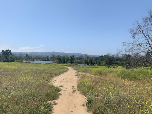 A sandy path winds through a grassy field, leading to a serene lake and distant mountains under a clear blue sky.