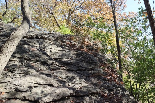 A rocky outcrop surrounded by trees and autumn foliage under a clear blue sky.