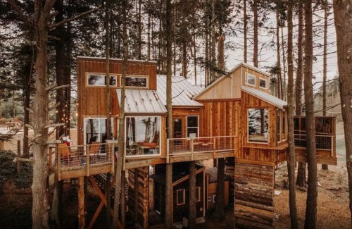 A rustic treehouse with wooden walls and a metal roof, nestled among tall trees in a forested area.