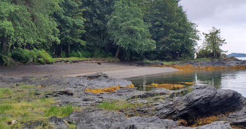 A serene beach scene with rocky shorelines, lush green trees, and calm waters under a cloudy sky.