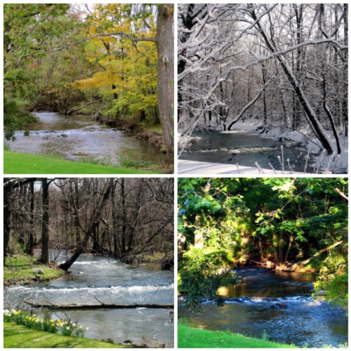 A collage of four seasonal river scenes: autumn foliage, winter snow, spring greenery, and summer sunlight.
