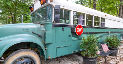 A vintage green school bus parked in a wooded area, featuring a stop sign and surrounded by greenery and a bench.