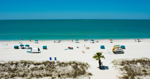 A sunny beach scene with people, umbrellas, and a palm tree, overlooking calm turquoise waters.