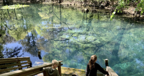 Two children sit on wooden steps by a clear, reflective pond surrounded by trees and greenery.