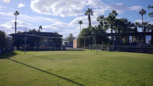 A sunny outdoor space with green grass, palm trees, and a wooden structure in the background under a blue sky.
