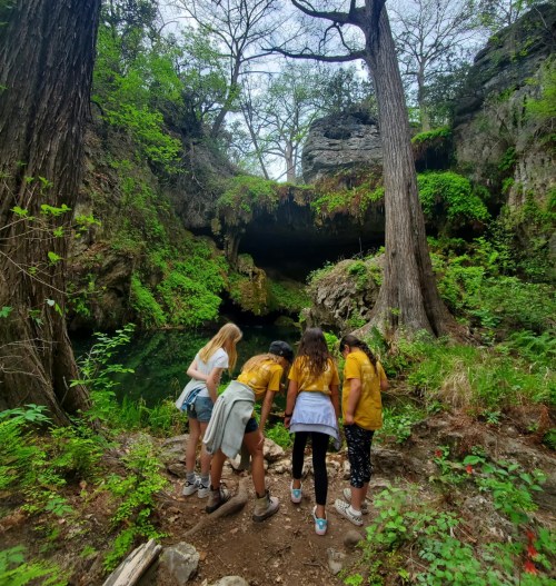 A group of children in yellow shirts exploring a lush, green forest near a cave entrance and a clear pool of water.