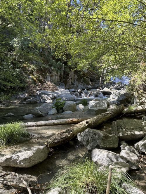 A serene stream flows over rocks, surrounded by lush greenery and trees under a clear blue sky.