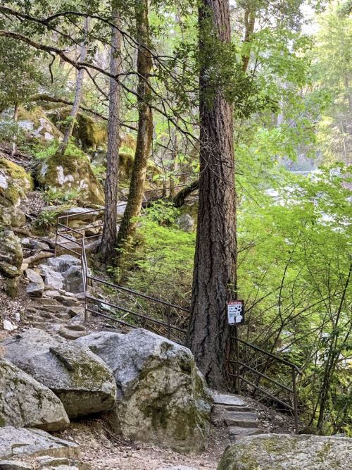 A winding trail with stone steps and a railing, surrounded by lush greenery and large rocks.