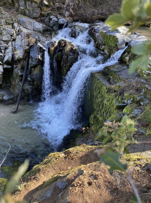 A small waterfall cascades over moss-covered rocks into a clear stream, surrounded by greenery.