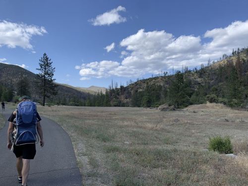 A hiker with a blue backpack walks along a paved path through a grassy area, surrounded by trees and mountains under a blue sky.