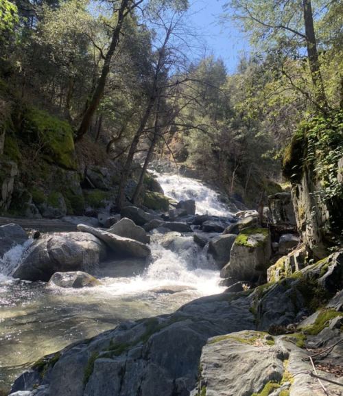 A serene waterfall cascades over rocks, surrounded by lush greenery and trees under a clear blue sky.