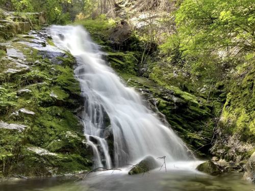 A serene waterfall cascades over moss-covered rocks, surrounded by lush greenery in a tranquil forest setting.
