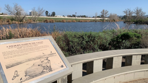 A serene lake view with a sign about local wildlife, surrounded by greenery and distant hills under a clear blue sky.