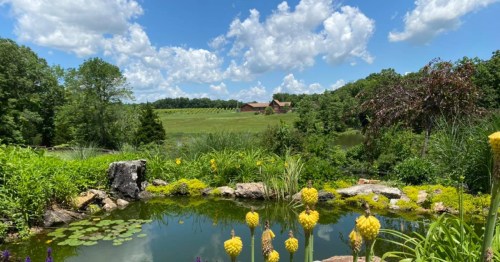 A serene landscape featuring a pond, vibrant flowers, and rolling hills under a blue sky with fluffy clouds.
