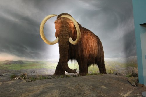 A life-sized model of a woolly mammoth stands on rocky terrain against a dramatic, cloudy backdrop.