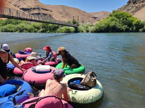 A group of people relaxing on colorful inner tubes in a river, with a dog sitting on one of the tubes.