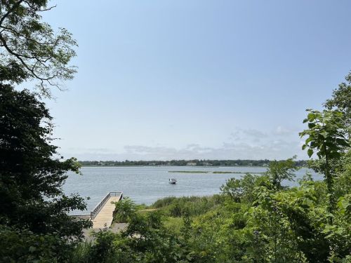 A serene view of a river with a small boat, surrounded by greenery and a clear blue sky.