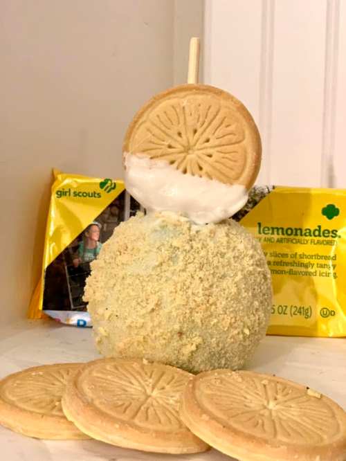 A creative dessert featuring a round cake covered in crumbs, topped with a lemon-flavored cookie and surrounded by more cookies.
