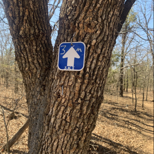 A blue sign with a white arrow pointing up, attached to a tree in a wooded area.