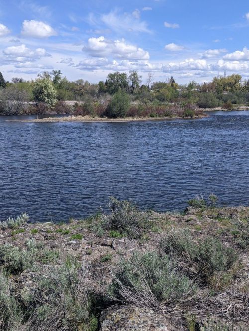 A serene river scene with lush greenery and trees under a partly cloudy sky.
