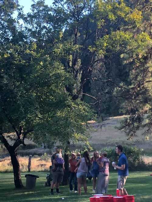 A group of people gather outdoors under trees, enjoying a sunny day in a grassy area.