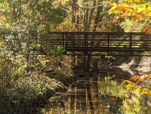 A wooden bridge spans a tranquil stream surrounded by vibrant autumn foliage.