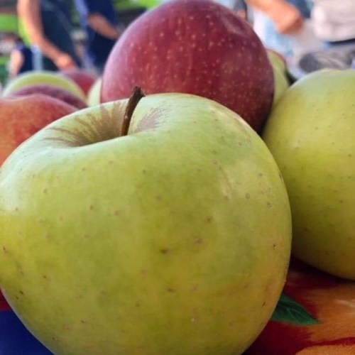 A close-up of green and red apples on a colorful tablecloth, with blurred figures in the background.