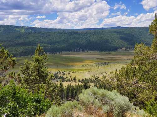 A scenic view of a green valley surrounded by trees, with rolling hills and a blue sky dotted with clouds.