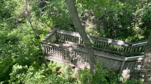 A wooden observation deck surrounded by lush green foliage and trees in a natural setting.