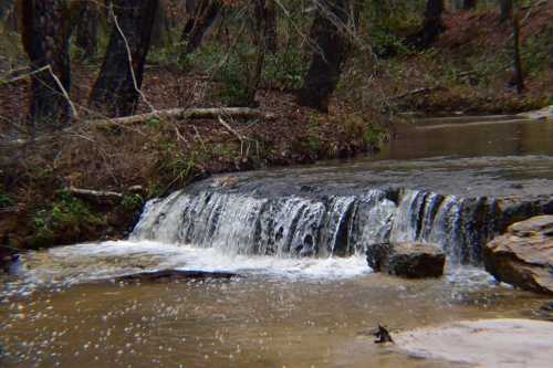 A small waterfall cascades over rocks into a calm stream, surrounded by trees and greenery.