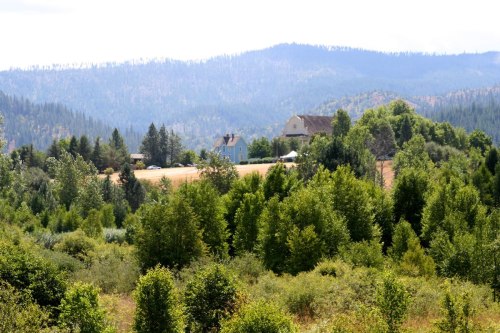 A scenic view of rolling hills and trees, with a few houses nestled among the greenery under a bright sky.