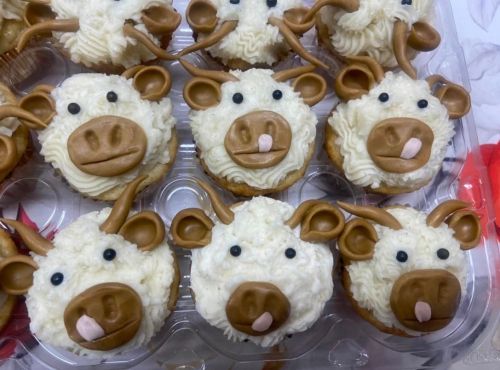 A tray of cupcakes decorated to look like cows, featuring chocolate and cream frosting with candy accents.