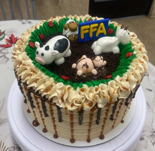 A decorated cake featuring farm animal figurines, green frosting, and an "FFA" sign on top, with chocolate drizzle.