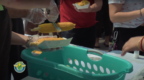 A person serving corn on the cob at a food event, with attendees holding plates in the background.