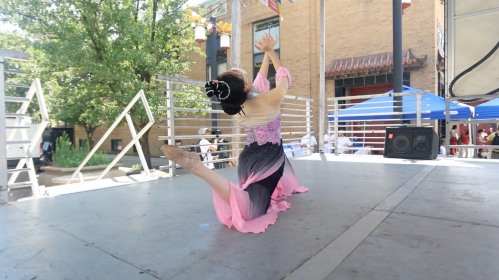 A dancer in a pink and black dress performs gracefully on stage, with trees and an audience in the background.