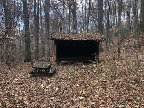 A rustic shelter with a leaf-covered roof, surrounded by trees and fallen leaves, with a picnic table nearby.