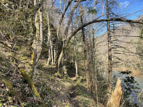 A winding trail along a river, surrounded by trees and rocky terrain under a clear blue sky.