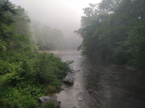 A misty river flows through a lush green forest, with trees partially obscured by fog.
