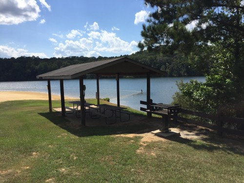 A shaded picnic area by a lake, with a grill and tables, surrounded by green grass and trees under a blue sky.