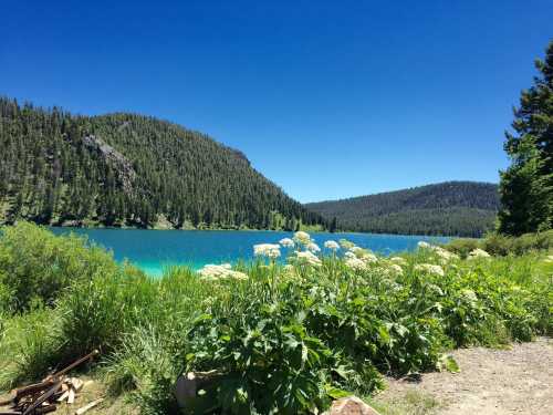 A serene lake surrounded by lush greenery and mountains under a clear blue sky.