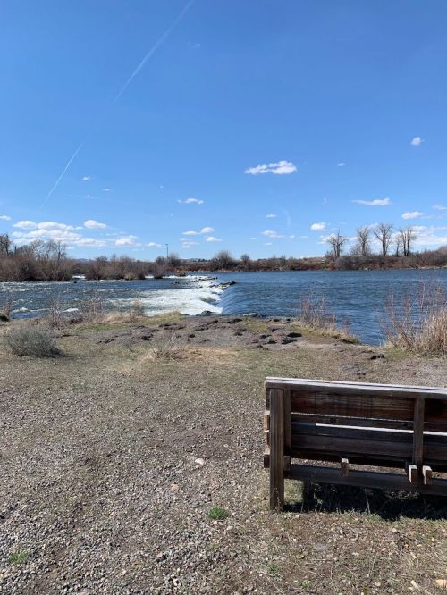 A wooden bench by a river with gentle rapids, under a clear blue sky and scattered clouds.