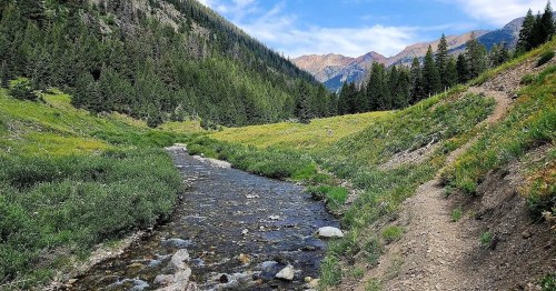 A serene mountain landscape featuring a clear stream, lush greenery, and towering trees under a blue sky.