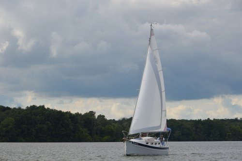 A sailboat with a large white sail glides across a calm lake under a cloudy sky, surrounded by green trees.